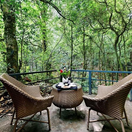 Ayar Jungle Resort Nainital Kültér fotó