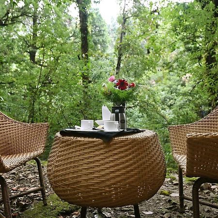 Ayar Jungle Resort Nainital Kültér fotó