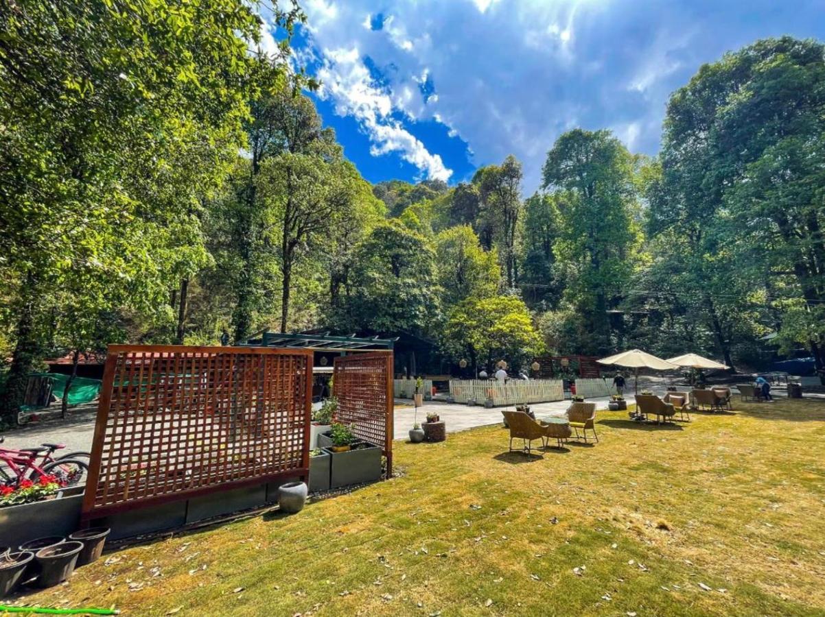 Ayar Jungle Resort Nainital Kültér fotó