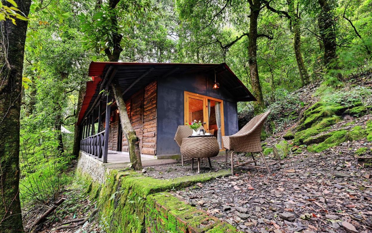 Ayar Jungle Resort Nainital Kültér fotó