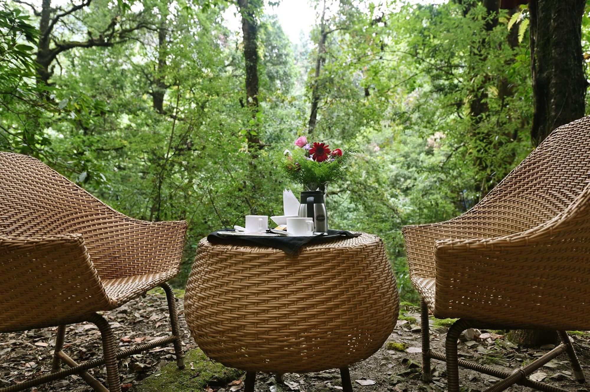 Ayar Jungle Resort Nainital Kültér fotó